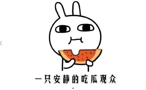 今日吃瓜事件,吃瓜群众围观娱乐圈最新瓜事